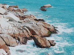 -广东惠东海龟国家级自然保护区