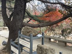 -周口店北京人遗址公园