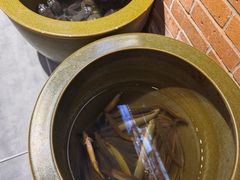 -鸽子窝(宋庄店)
