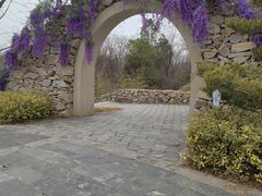 -东湖落雁景区