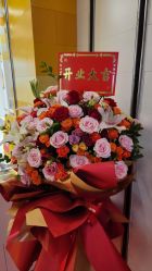 -乐高授权专卖店(中关村领展店)