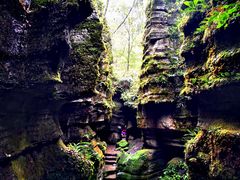 -梭布垭石林景区