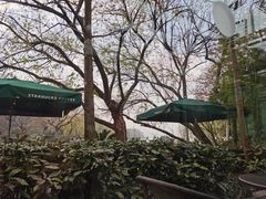-星巴克(西湖天地店)