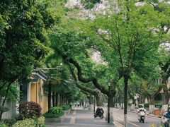 -颐和路民国时期公馆风貌区