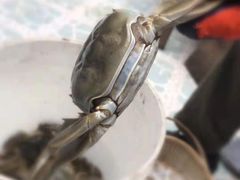 -秋月舫(阳澄湖湖滨中路店)