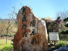 -天适樱花悠乐园