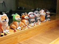 -柴务处·柴犬主题狗咖