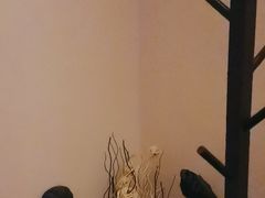 -聆耳·采耳·按摩·SPA(会展中心店)