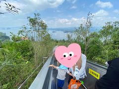 -千岛湖天屿景区