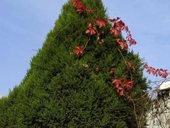 -防灾科技学院(南校区)