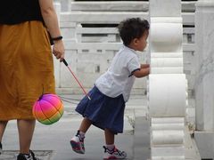 -祥源·阜阳生态乐园