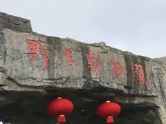 -合肥野生动物园