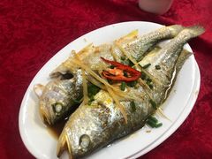 -蛇口康乐快餐鱼仔档(翠苑小区店)