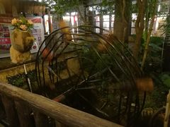 -园林美食城·本土农家菜(杨和镇店)