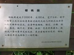 iphone_upload_pic-高东镇樱花园