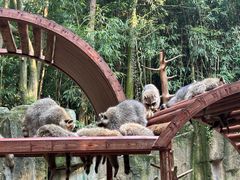 -杭州野生动物世界