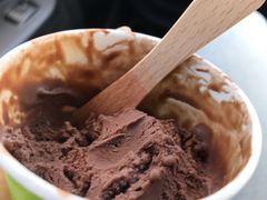 -Dooley's Premium Ice Cream