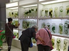 -北京中医药大学-中医药博物馆
