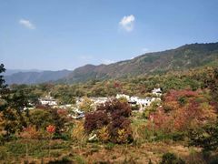 -塔川景区