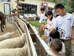 -HERRE·FARM 赫尔露营农场·团建聚会包场