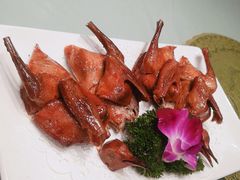 吊烧乳鸽-华悦酒家