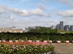 -壮乡楼民俗文化苑(李宁体育园店)
