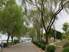 -丁香湖公园