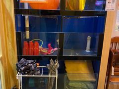 水产区-吉炙烧鸟•本格料理(国际商贸城店)