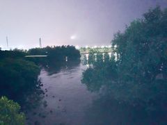 -宝安西湾红树林湿地公园