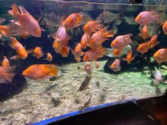 -太平洋海底世界