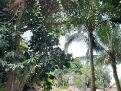 -海口观澜湖火山温泉谷