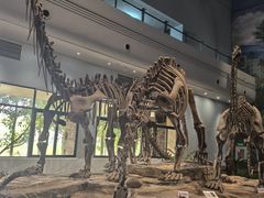 -自贡恐龙博物馆