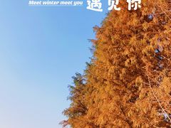 -无锡梅园公园