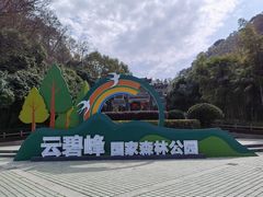 -云碧峰国家森林公园