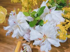 小桃气-Kekimatata 生日蛋糕·烘焙教学