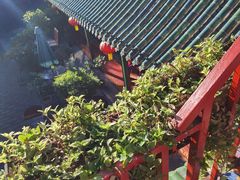 -北京阅微庄四合院文化特色酒店