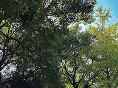 -苏州河梦清园环保主题公园