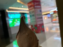 -野人先生现做冰淇淋(北京王府井东方新天地店)