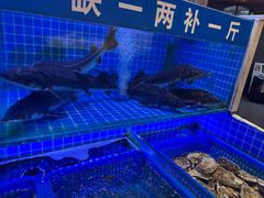 -悦海·家宴·冰花皮皮虾大锅贴(宝龙店)