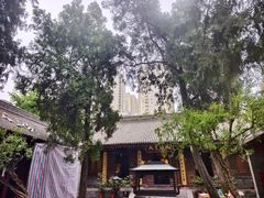-罔极寺