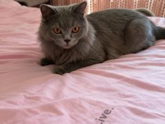 -派特宠物医院(圆融广场店)