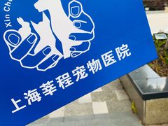 -莘程宠物医院(金山店)
