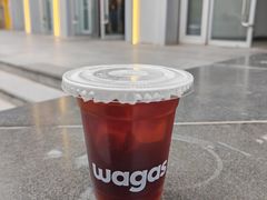 -Wagas沃歌斯(枫蓝国际店)