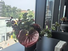 -LE COQ大公鸡小酒馆(北京首店)