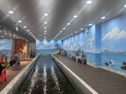 -钓虾工场·钓虾·赶海(回龙观店)