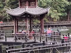 -江西阳明山国家森林公园