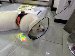 -中国体育彩票(竞彩店)