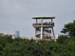 -福田红树林生态公园
