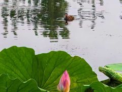 -国家植物园南园