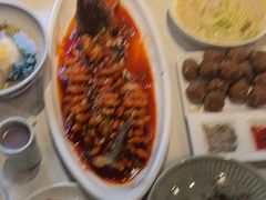 -新侨小馆(东直门北小街店)